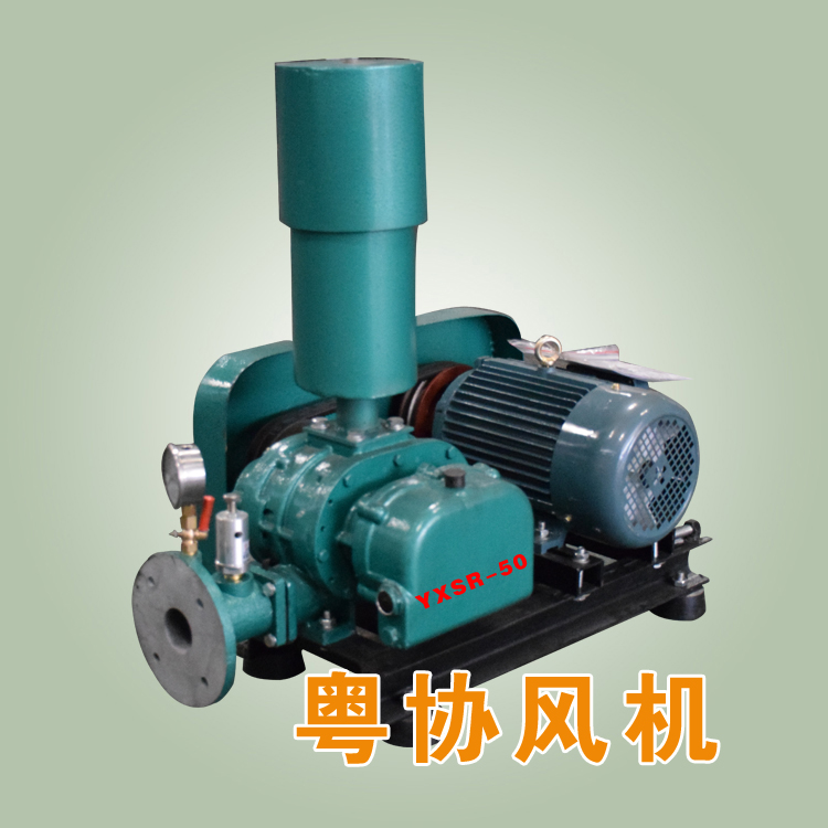 三葉羅茨風(fēng)機(jī)維修.jpg