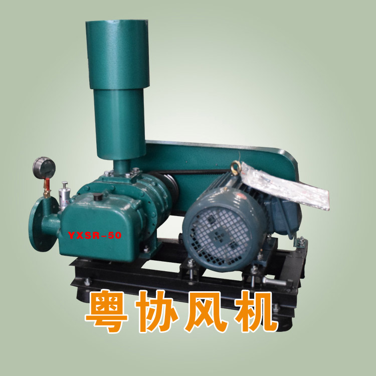 羅茨鼓風(fēng)機(jī).jpg