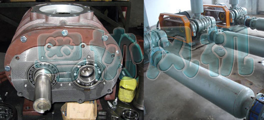 1614571280246490.jpg 2.jpg