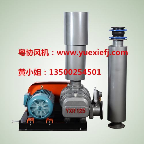 污水曝氣羅茨風(fēng)機